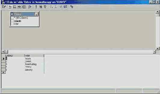   Diagram Pane