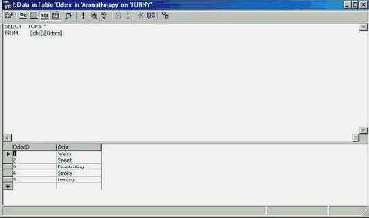  SQL Pane