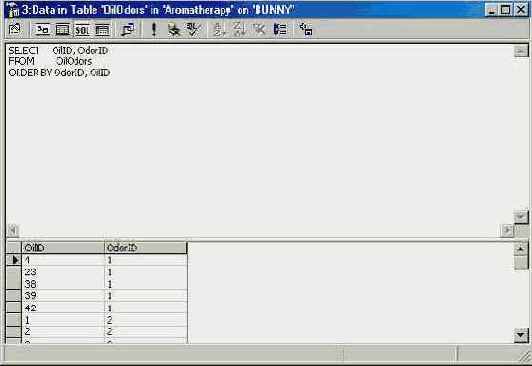      SQL Pane