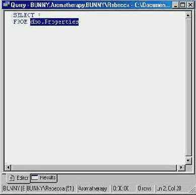      Editor Pane