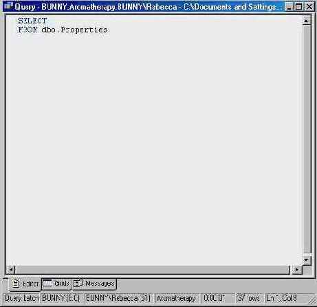      Editor Pane