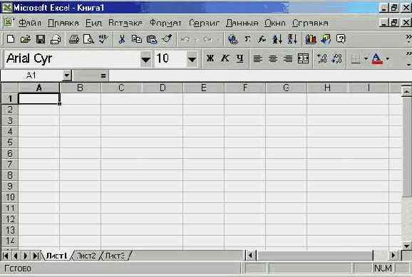 MS Excel 2000  
