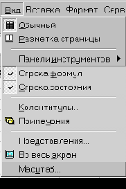 MS Excel 2000  
