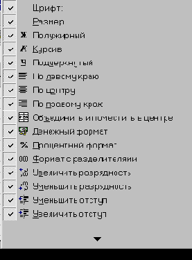 MS Excel 2000  
