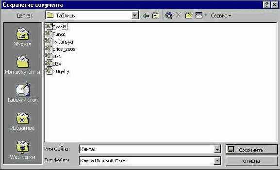 MS Excel 2000  
