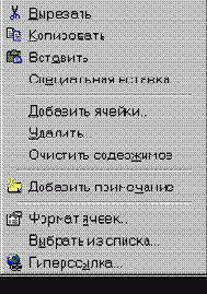 MS Excel 2000  
