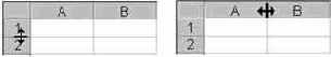 MS Excel 2000  
