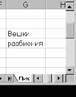 MS Excel 2000  
