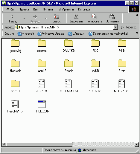    Microsoft Internet Explorer 6
