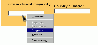    Microsoft Internet Explorer 6
