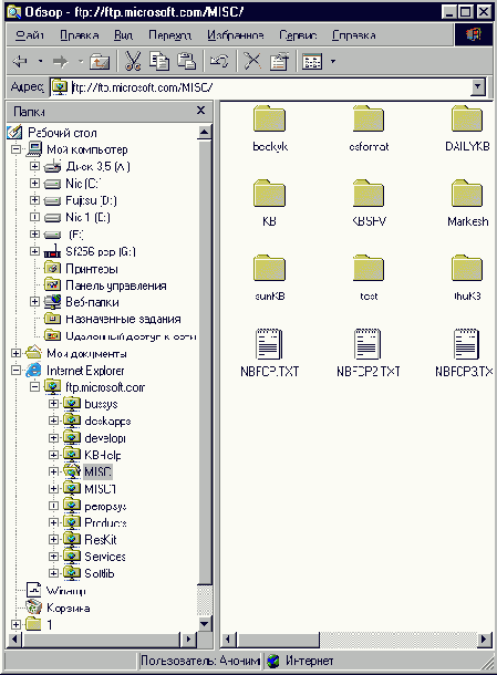    Microsoft Internet Explorer 6

