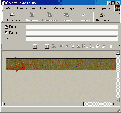   Internet Explorer
