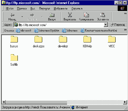   Internet Explorer
