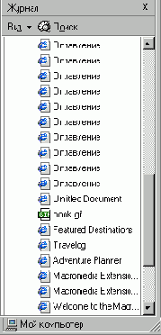   Internet Explorer
