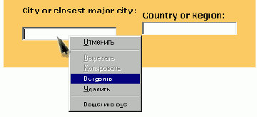   Internet Explorer
