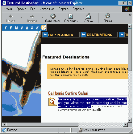   Internet Explorer
