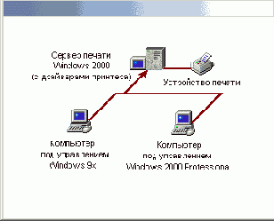Windows XP - 
