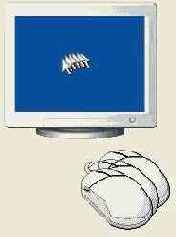    Windows XP

