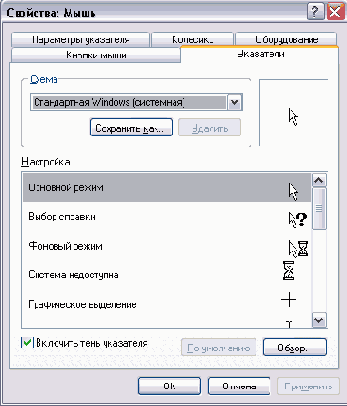    Windows XP
