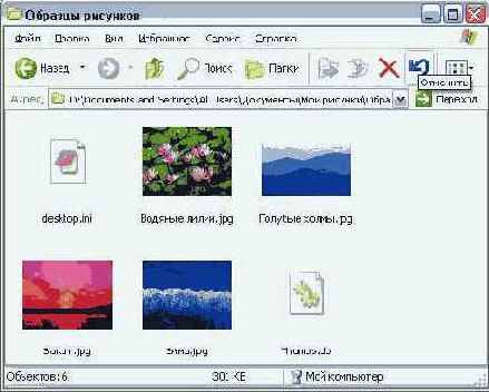    Windows XP
